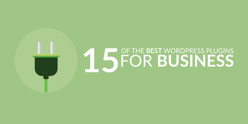 15 of the Best WordPress Plugins for Business