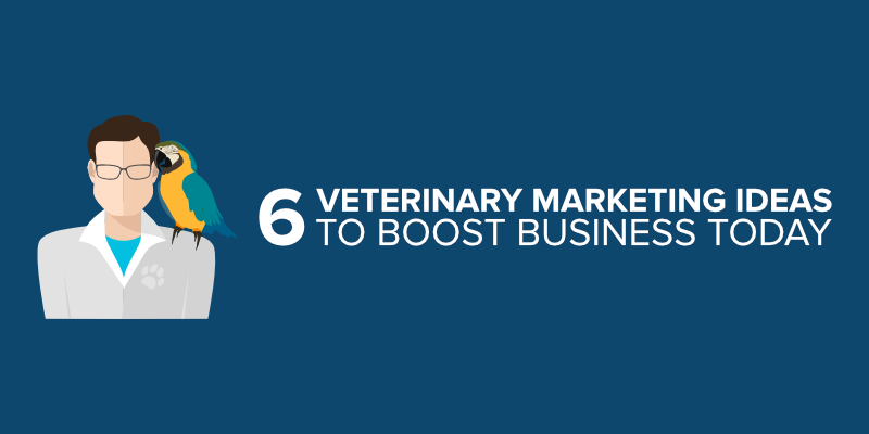 6 Veterinary Marketing Ideas to Boost Business Today